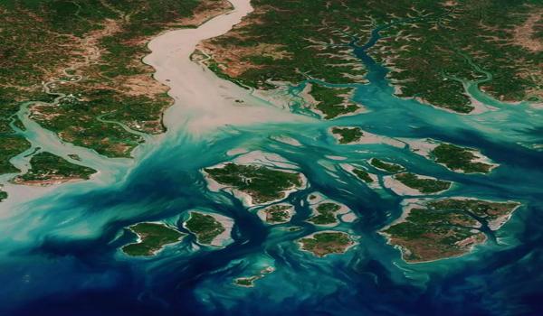 三角洲官方跟辅助合作（三角洲官方是不是默许了辅助的存在？）